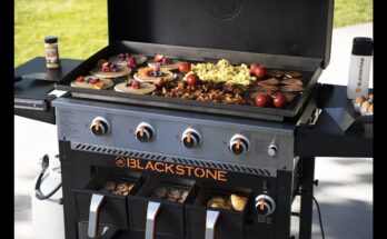 Know About Masterbuilt Ovens Available from BBQs 2u