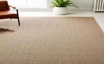 Why Are Sisal Carpets Becoming a Popular Choice for Homeowners