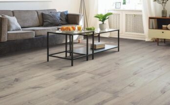Explore Some Reasons Why Laminate Flooring Is an Ideal Choice for Home